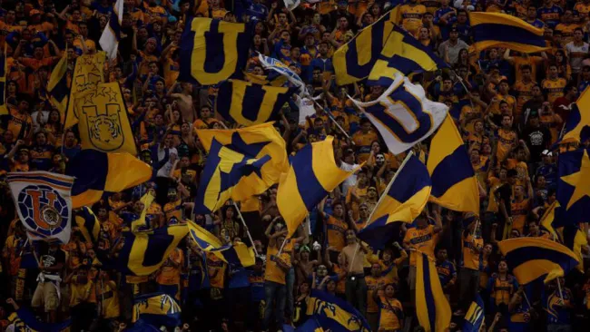 Miembros de Libres y Lokos en un partido de Tigres