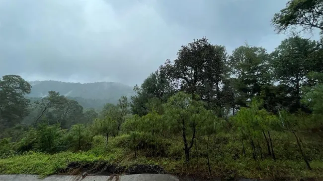 La importancia de la ecología 