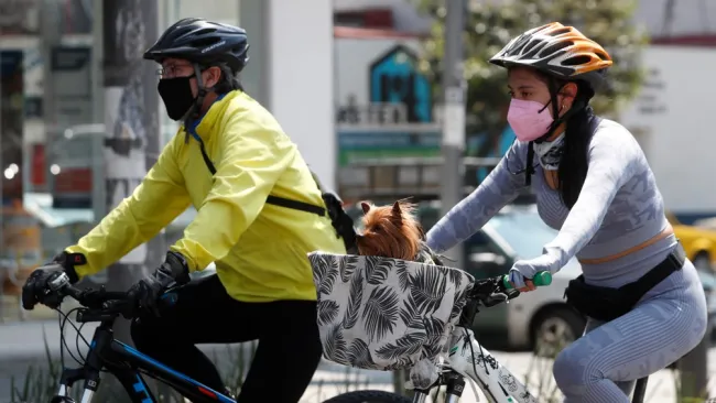 Coronavirus en México