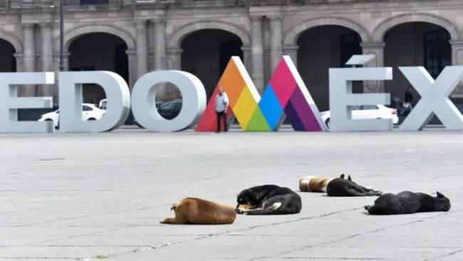 Dos sujetos detenidos por maltrato animal