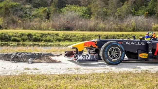 Checo Pérez durante el promocional