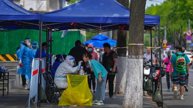 Módulo de pruebas COVID-19