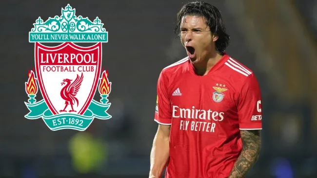Liverpool: Darwin Núñez, a detalles de ser nuevo jugador de los Reds
