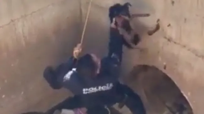 Policía rescatando a un perro