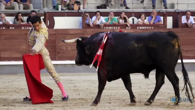 Alejandro Adame en acción