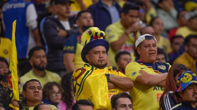 Se implementará el FAN ID