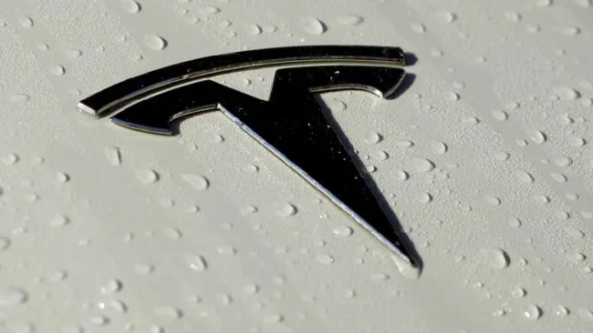 Tesla ya busca personal en México previo a la construcción de la gigafábrica