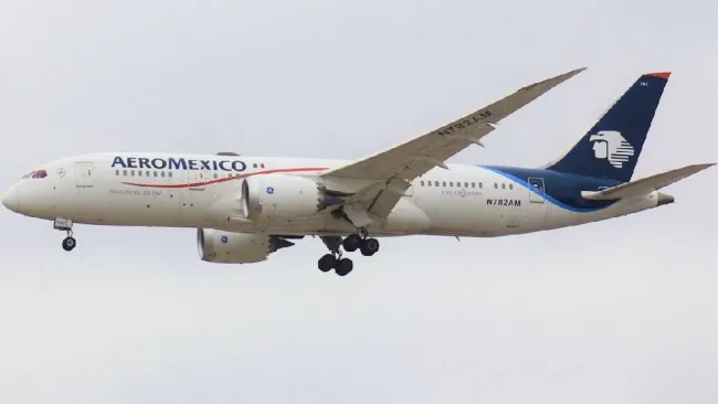 Aeroméxico: Grandes ofertas Hot Sale de tiendas en línea