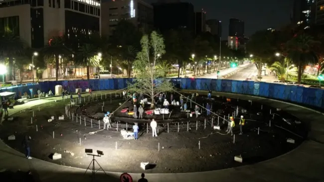 Plantan nuevo ahuehuete a glorieta de Paseo de la Reforma