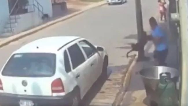 Hombre que lanzó a un perro a cazuela de aceite hirviendo en Técamac fue identificado 