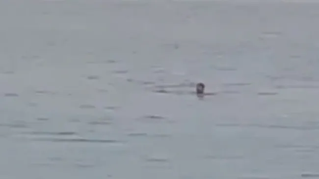 El hombre peleó por defender su vida 