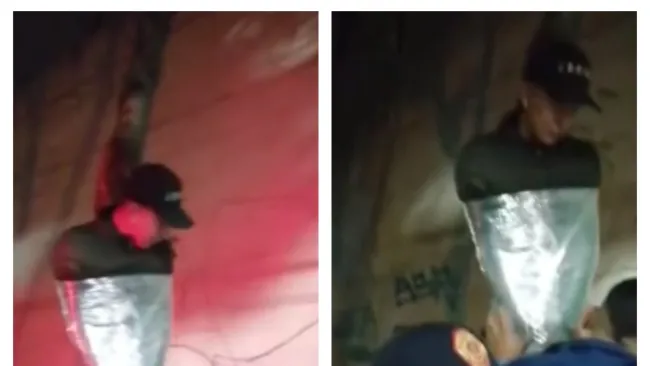 Joven emplayado en un árbol