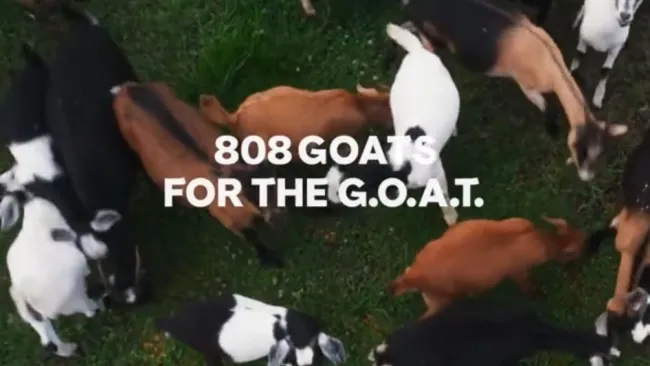 ¡Esto es arte! Patrocinador de Messi formó su cara con 808 cabras