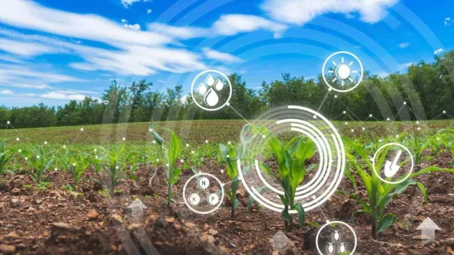 Agricultura ecológica se respalda en MAZO: Madariaga Barrilado