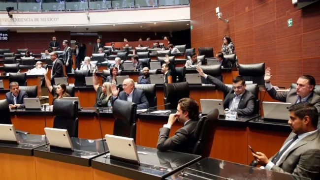 Los senadores votando