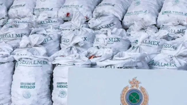 Hong Kong incauta cargamento de metanfetamina en costales con logotipos de Segalmex