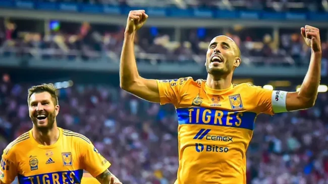 Los felinos se encuentran en la parte alta de la tabla 