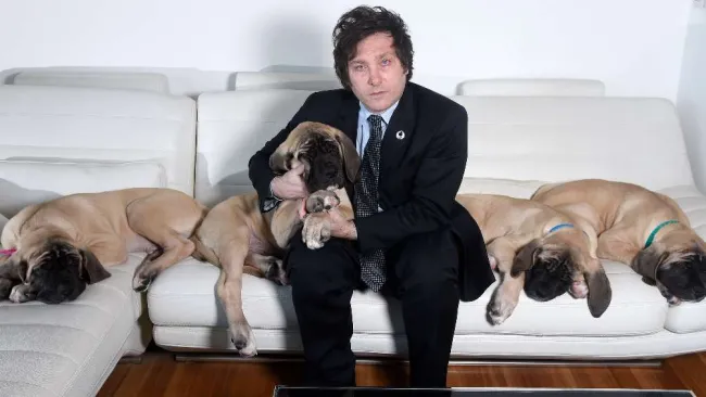 Javier Milei, el nuevo Presidente argentino que tiene como mascotas a cuatro perros clonados