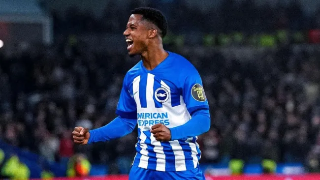 El español en partido 