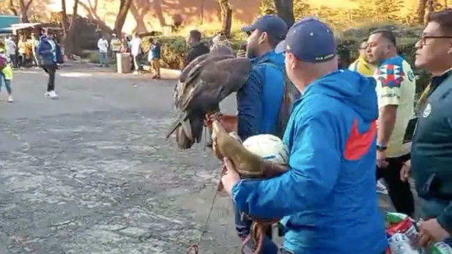 Celeste llegando al Estadio Azteca