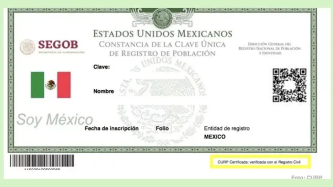 Obten tu CURP certificado y gratis ¡Te decimos cómo!