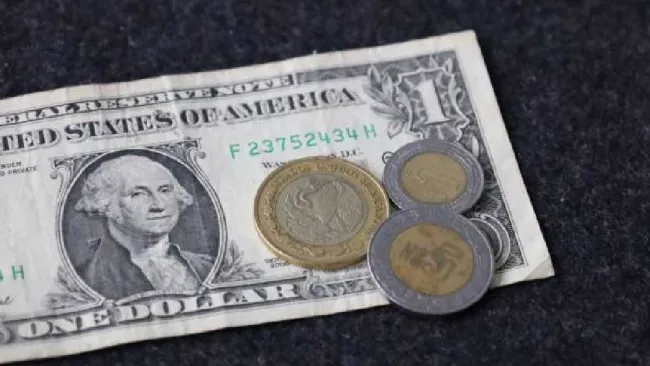 Precio del Dólar Hoy 24 de enero : ¿Cuál es el tipo de cambio?