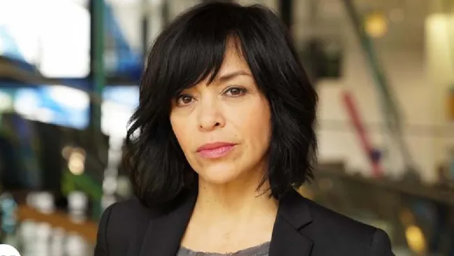 ¿La periodista Anabel Hernández sufrió un atentado?