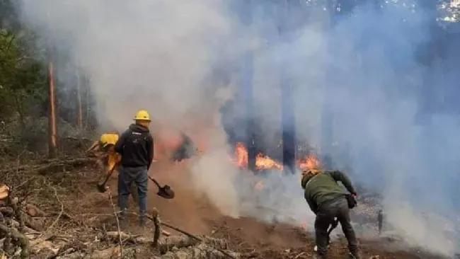 La Conafor tiene registro de 116 incendios forestales activos en este momento.