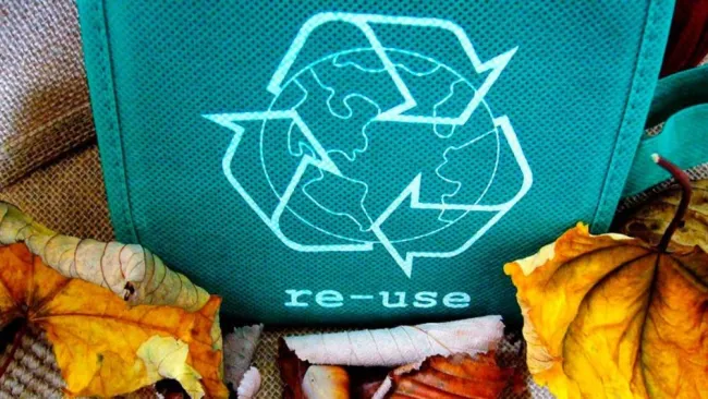 Europa innova en circularidad de plásticos: Madariaga Barrilado