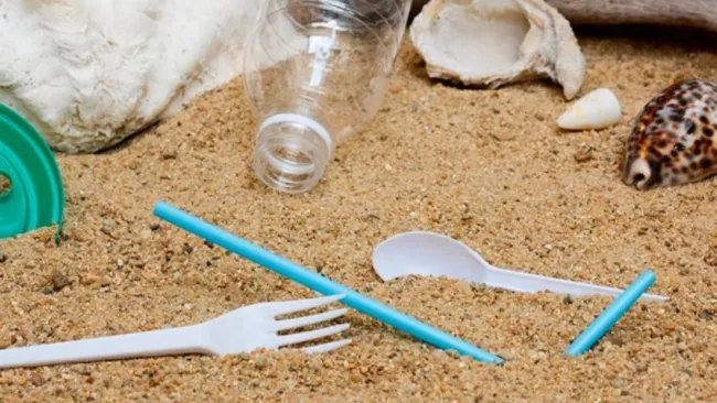 Globos, tenedores y botellas lo que más contamina el agua en México