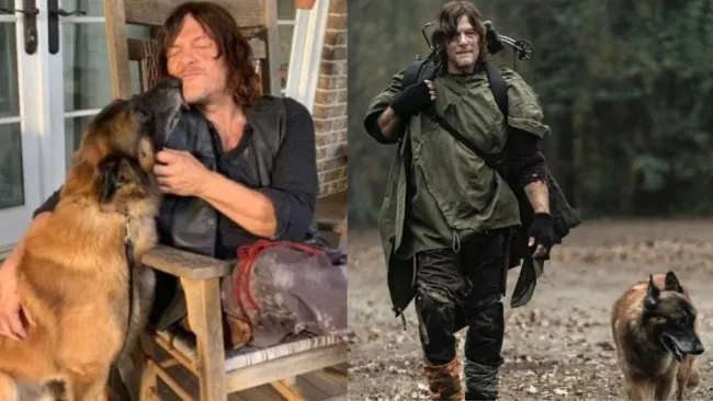 Muere el famoso perro que sale en la aclamada serie The Walking Dead