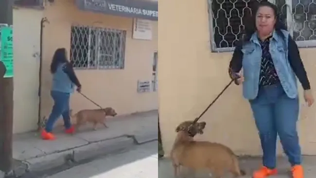 Una mujer fue titulada como 'Lady Popó' por no recoger las heces de su perro en Oaxaca