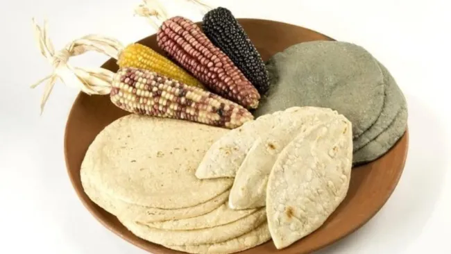 Beneficios nutricionales de la tortilla de maíz a lo largo de la vida