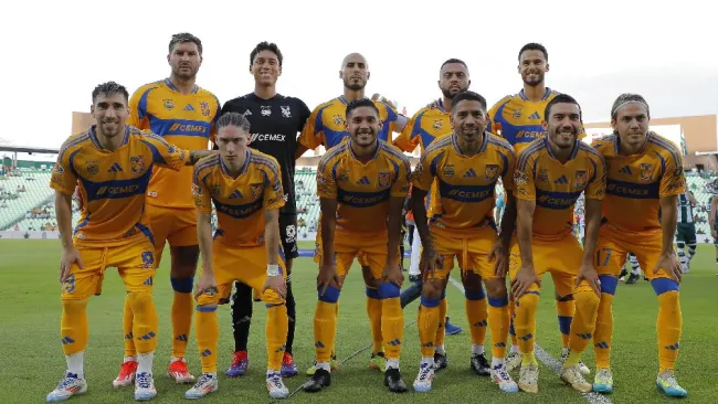 Tigres