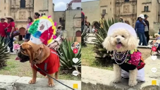 Foto captura de pantalla 