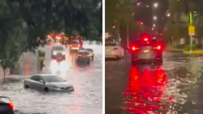 Foto captura de pantalla 