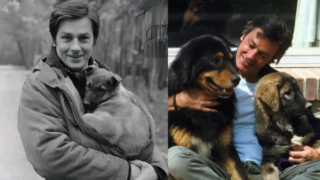 Alain Delon, uno de los actores más populares y reconocidos en el cine de Francia, ha muerto el día de hoy