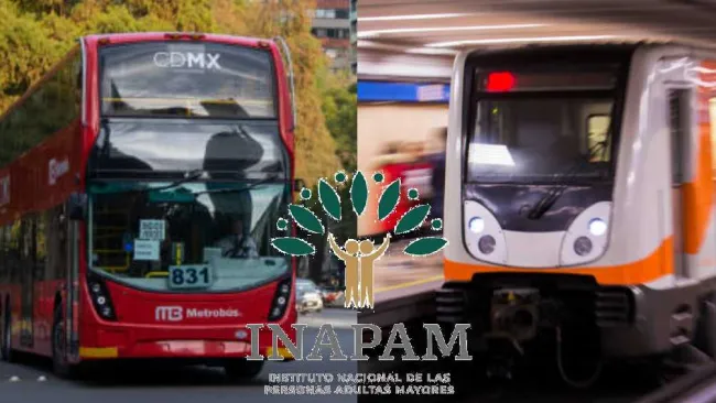 INAPAM: Lista de transporte público donde puedes viajar gratis presentando tu credencial