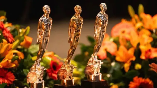  Descubre cuáles fueron las películas más destacadas del año. ¡No te lo pierdas! 