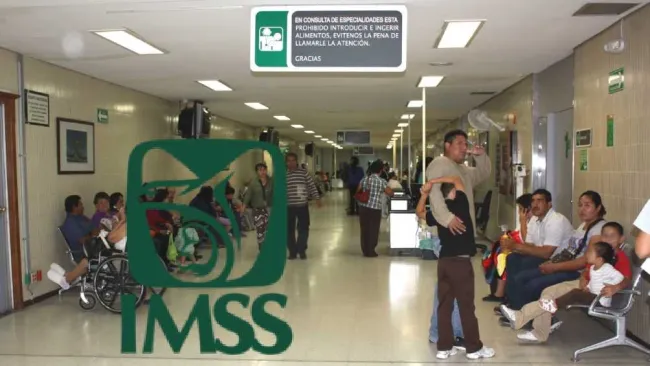IMSS ofrece seguro para trabajadores independientes. Requisitos y cómo puedes tramitarlo 