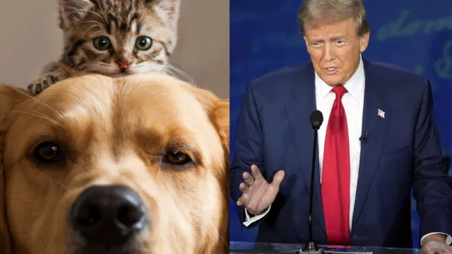 Donald Trump causó polémica al declarar que hay casos de inmigrantes comiendo mascotas