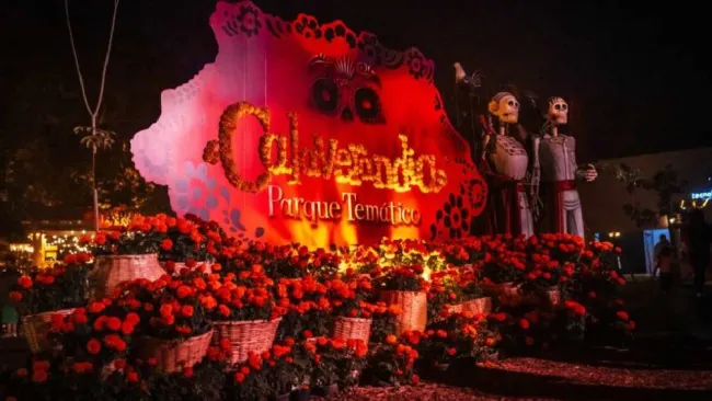 Te contamos los detalles. 