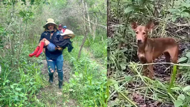 El niño de 9 años sobrevivió a tomar agua de charcos de la tierra