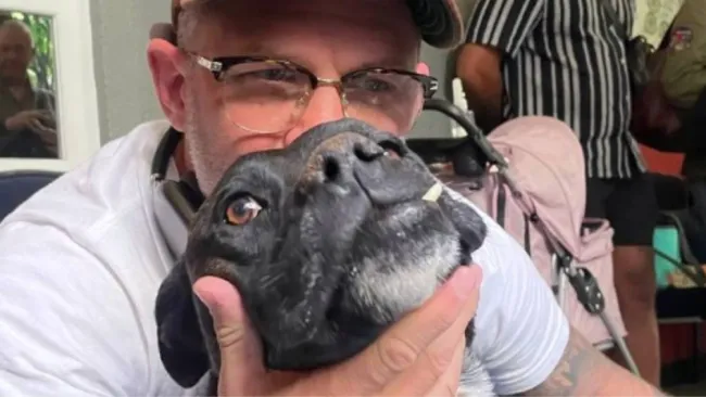 Tom Hardy pide ayuda para fundación de perritos en CDMX