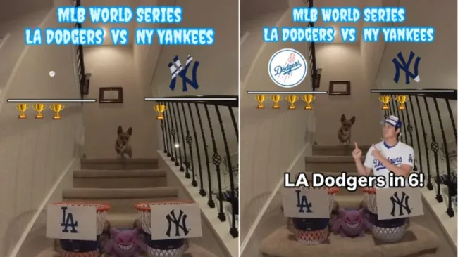 ¿Definido el ganador de la Serie Mundial? Perro corgi ya dio su pronóstico