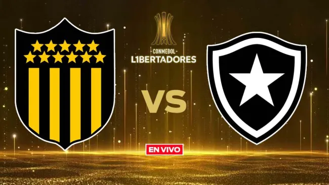 Peñarol vs Botafogo EN VIVO Copa Libertadores Semifinal Vuelta