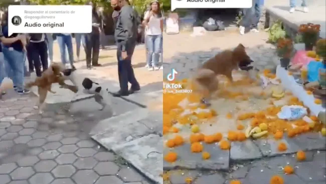 Los hechos ocurrieron en una escuela en alguna parte del país.