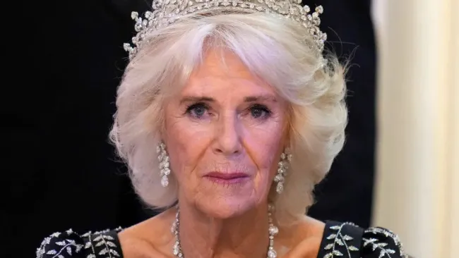 Un vocero del Palacio de Buckingham adelantó que la reina debe guardar reposo.