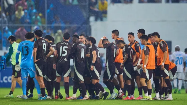 ¡Molestia en el nido! 