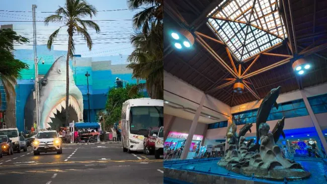 ¡Fue reabierto el acuario de Veracruz! Es el más grande de Latinoamérica y el más barato de México